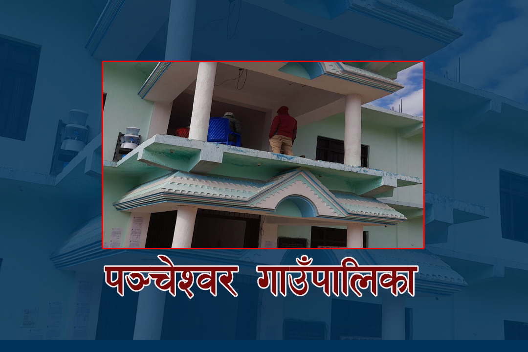 बैतडीको पञ्चेश्वर गाउँपालिकाले  हिउँदे फलफूलका विरुवा वितरण गर्ने 